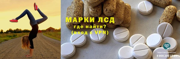шишки Горняк