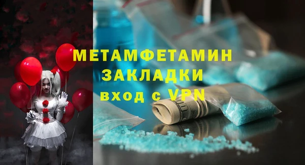шишки Горняк
