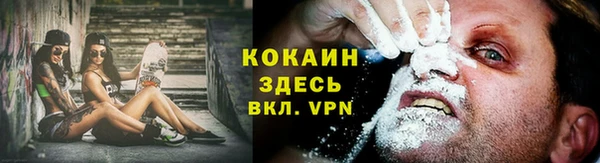шишки Горняк