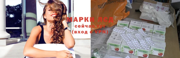 шишки Горняк