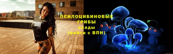 крисы Горнозаводск