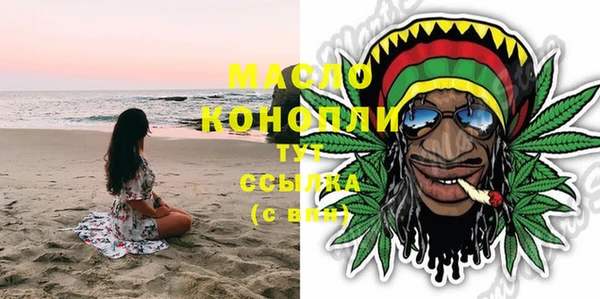 шишки Горняк