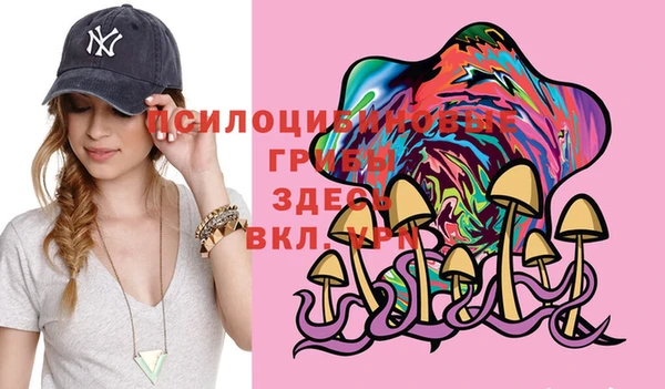 шишки Горняк
