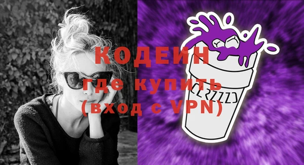 шишки Горняк