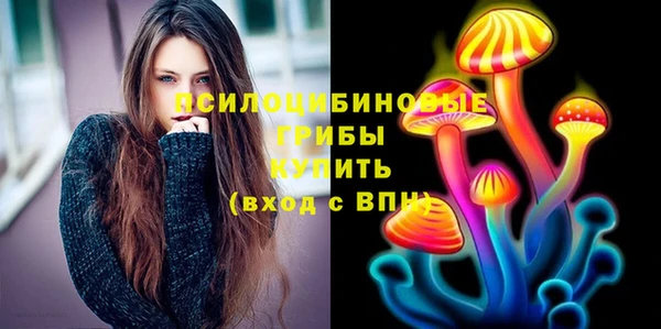 шишки Горняк