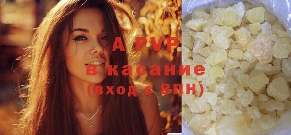 шишки Горняк