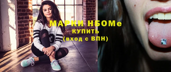 шишки Горняк